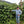 Load image into Gallery viewer, Exocit Microlot! Diofanor Ruiz
