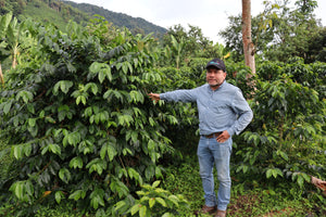 Exocit Microlot! Diofanor Ruiz