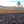 Load image into Gallery viewer, El Indio - Colombia
