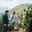 Load image into Gallery viewer, Peru - Familia Segovia - Washed Caturra
