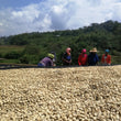 Load image into Gallery viewer, Kenya  - Kiamacora AB

