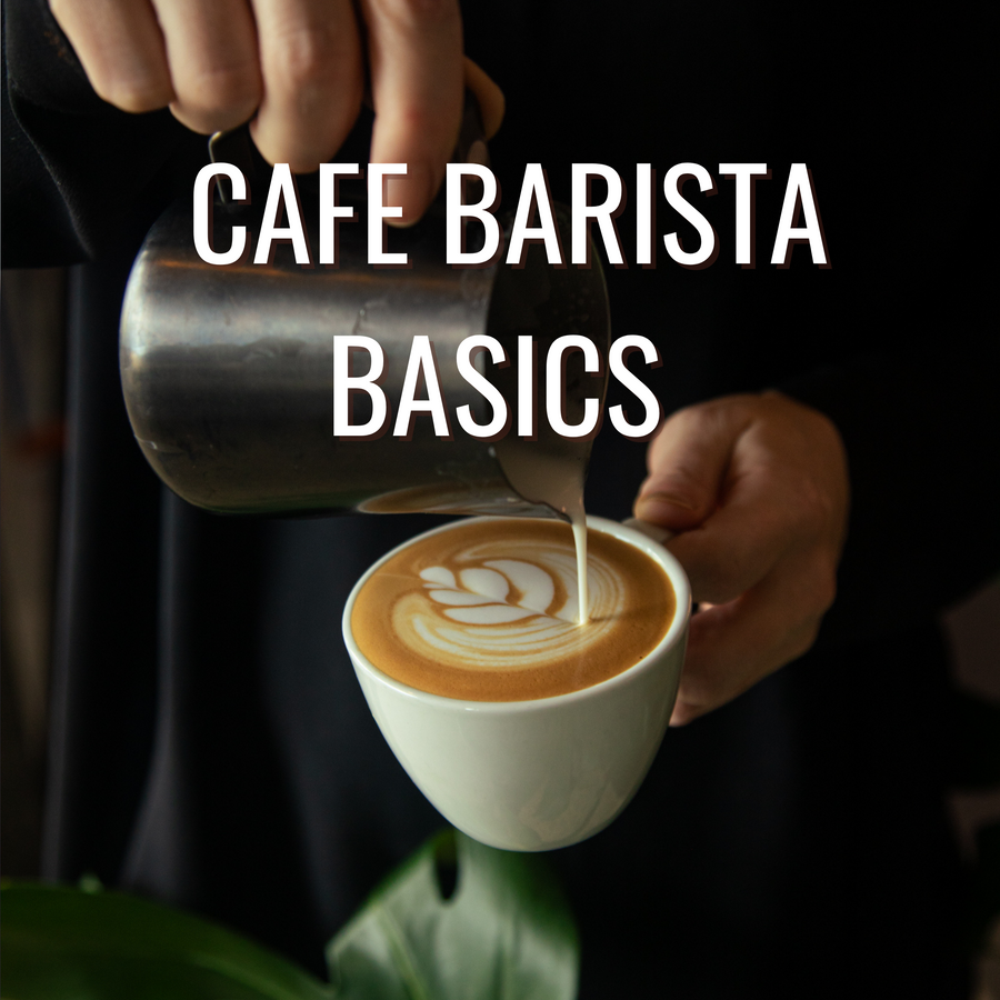 Cafe Barista Basics (2hr)